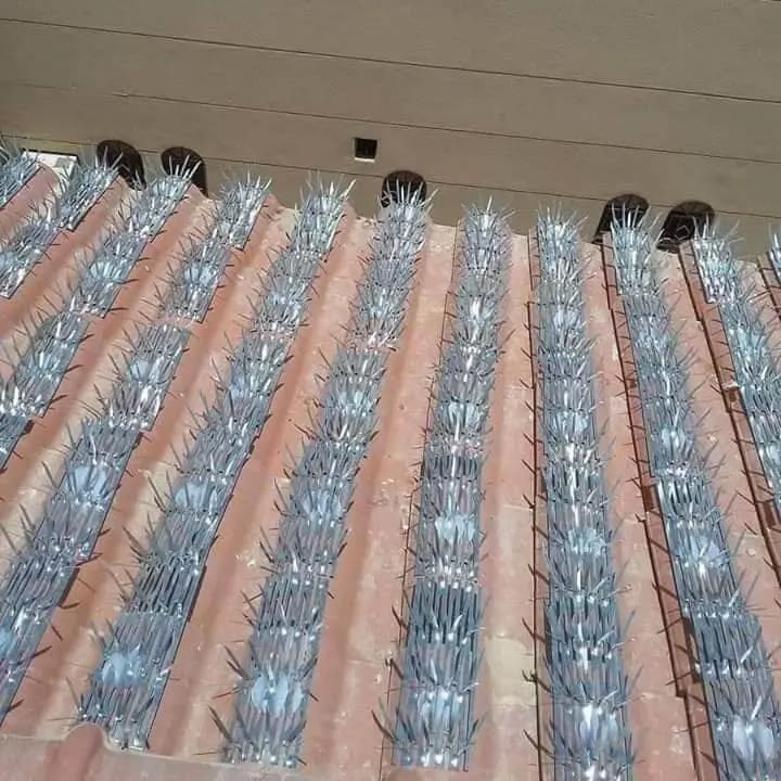 شبكة شرفات